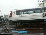 �V���D�ʐ^04